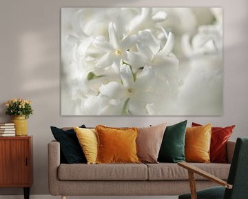 Keukenhof bloemen Wit 2 von Antine van der Zijden