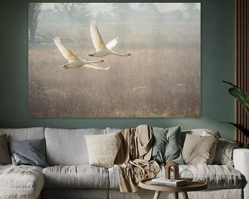 Die fliegenden Schwäne von Riccardo van Iersel
