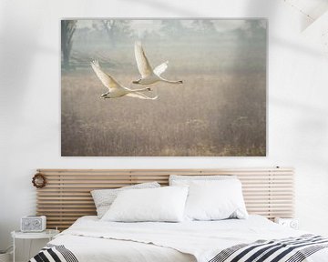 The flying swans by Riccardo van Iersel