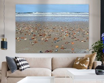 Seashells on the beach by Judith Cool