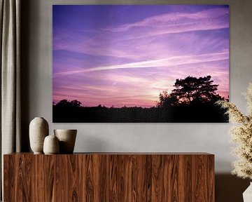 Purple sunset