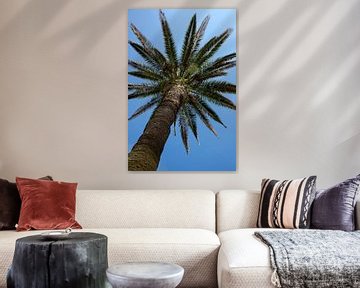 Palmboom van Evelyne Renske
