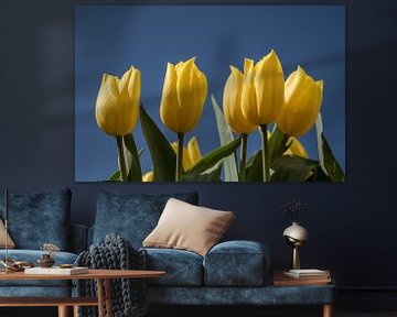 Tulips sur Erika Schouten