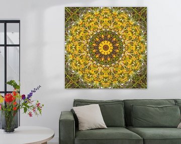 Dandelion Dream van Frans Blok - foto's, kunst en andere wanddecoratie