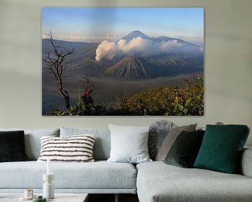 Uitzicht op de Bromo vulkaan van Antwan Janssen