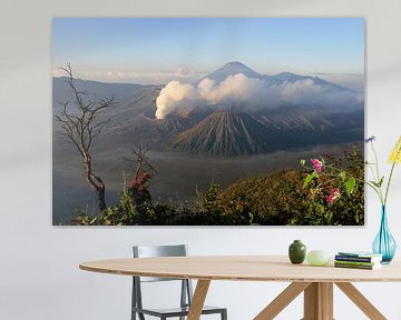 Uitzicht op de Bromo vulkaan van Antwan Janssen