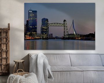 Rotterdam de Hef de Zwaan de Erasmusbrug by Hendrik-Jan de Koning