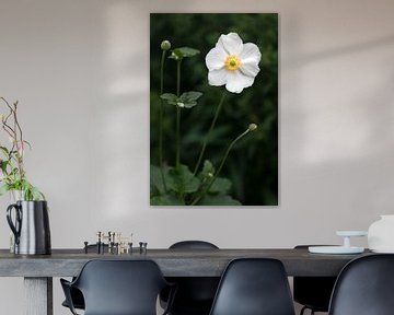 Witte bloem van Evelyne Renske