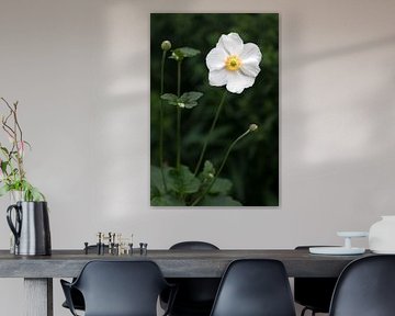 White flower
