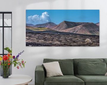 Landschap Lanzarote- Canarische Eilanden- wijnstreek La Geria