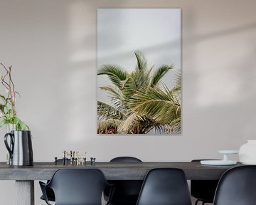 Playful palm leaves by Rebecca Gruppen