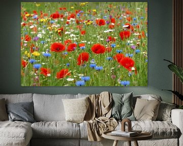 Wild flowers garden by Ad Jekel