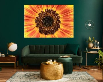 Yellow red flower by MSP Canvas