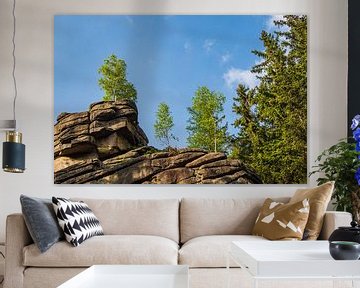 Landschaft mit Bäumen und Felsen im Harz