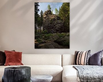Landscape with trees and rocks in the Harz area, Germany by Rico Ködder