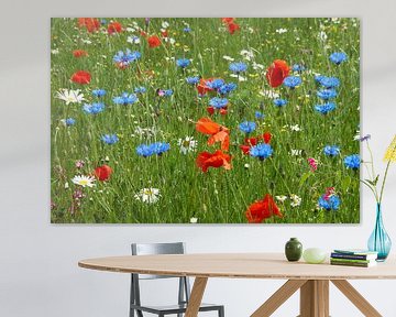 Wilde bloemen tuin van Ad Jekel