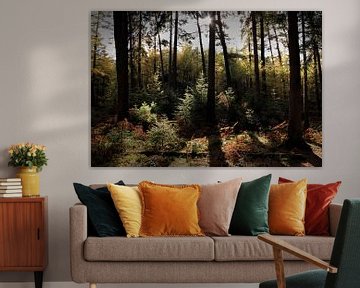 Wald mit Herbstfarben von MSP Canvas