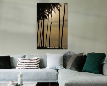 Palmbomen in silhouet