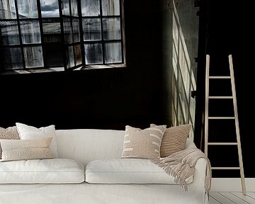 Ramen van Ines van Megen-Thijssen