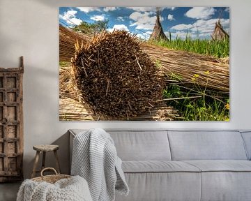 Afgesneden riet in Nederlands landschap van Fotografiecor .nl