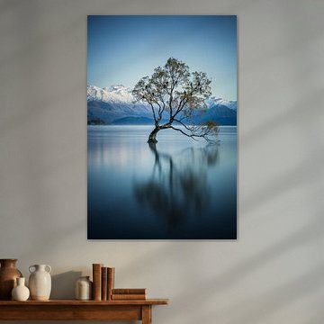 Der Wanaka-Baum von Lorenzo Visser