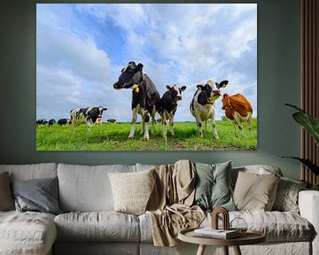 Vaches dans un champ pendant une belle journée de printemps sur Sjoerd van der Wal Photographie