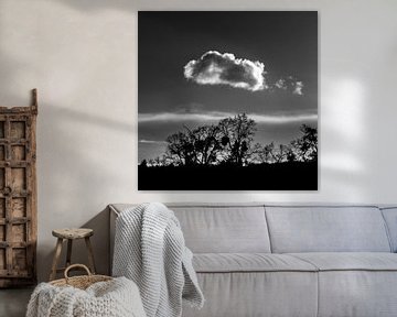 Wolkje in de lucht van Ronald De Neve
