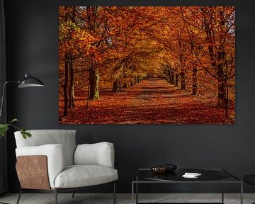 Herbstfarben von Bert Heuvels