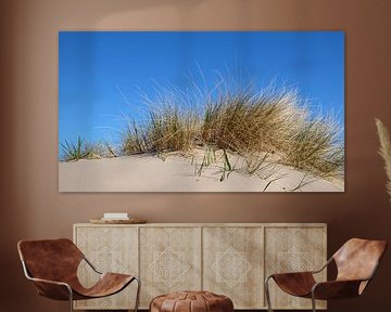 Dunes van Ostsee Bilder