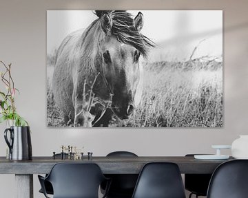 Wild paard in Oostvaardersplassen van Kimberley Jekel