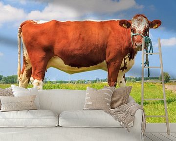 Bruine koe van opzij