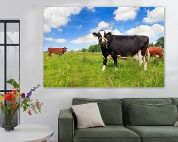 Koeien in de wei in Holland van Dennis van de Water