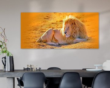 Lion Male 900 thula-art panorama van Barbara Fraatz