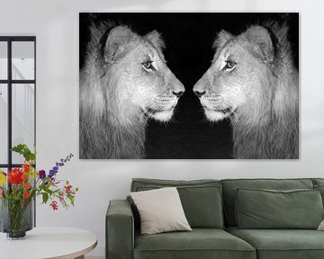 Löwen Männchen Zwillinge sw 18163