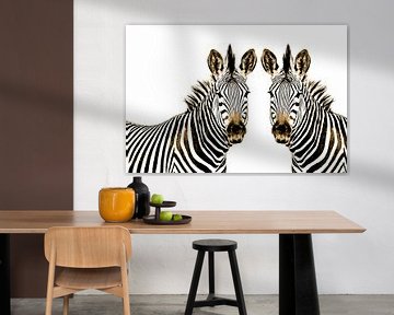 Zebra im Doppelpack thula-art