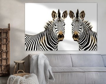 Zebra im Doppelpack thula-art