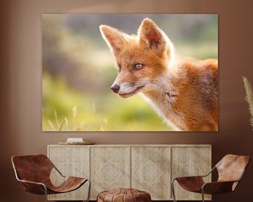 Red fox cub portrait by Pim Leijen