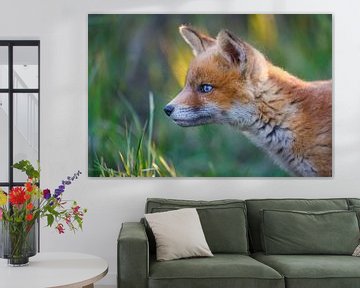 Red fox cub portrait sur Pim Leijen