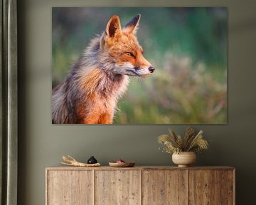 Red fox portrait sur Pim Leijen