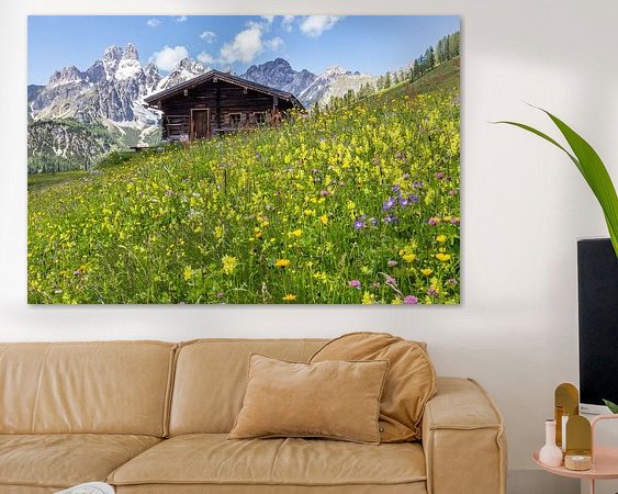 Aperçu de la chambre