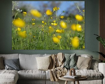 Buttercups sharpness depth by Judith Cool