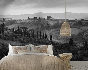 Monochrome Tuscany in 6x17 format, landscape near San Gimignano