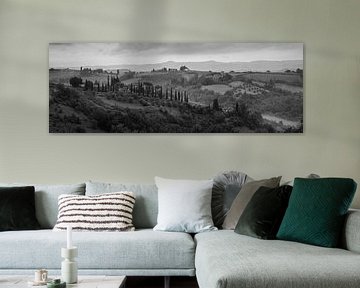 Toscane monochrome au format 6x17, paysage près de San Gimignano sur Teun Ruijters