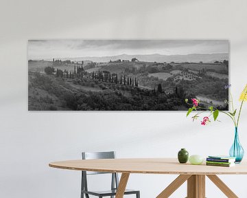Monochrome Tuscany in 6x17 format, landschap nabij San Gimignano