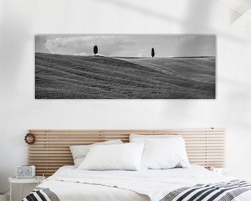 Monochrome Tuscany in 6x17 format, trees in San Quirico D'Orcia by Teun Ruijters