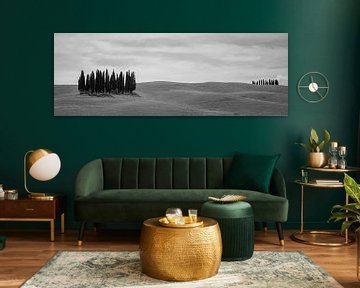 Monochrome Tuscany in 6x17 format, Cipressi di San Quirico d'Orcia van Teun Ruijters