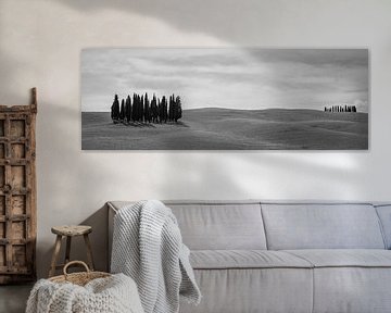 Monochrome Tuscany in 6x17 format, Cipressi di San Quirico d'Orcia
