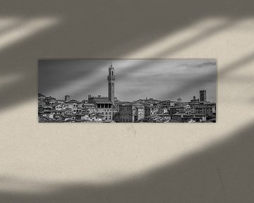 Monochrome Tuscany in 6x17 format, Siena