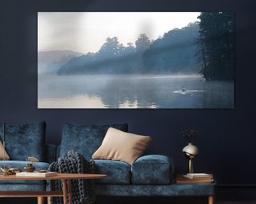 Swan Lake Tranquility by David Hofhuis