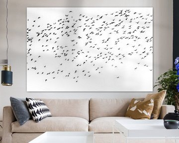 Swarm of Bar-tailed Godwits by Marianne Twijnstra